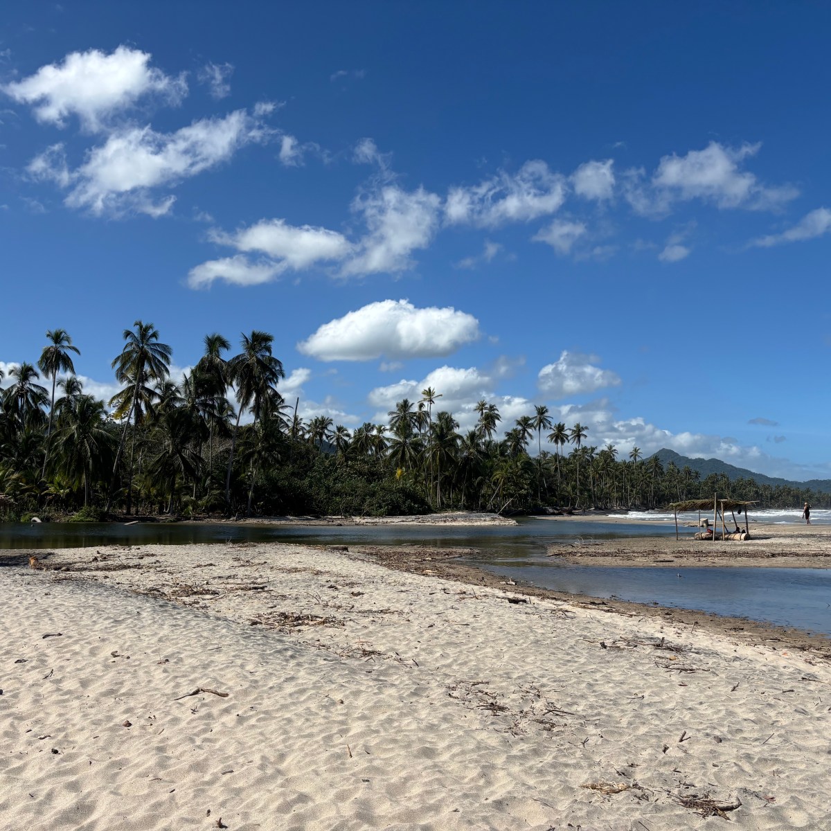 Mensaje desde el&nbsp;mar